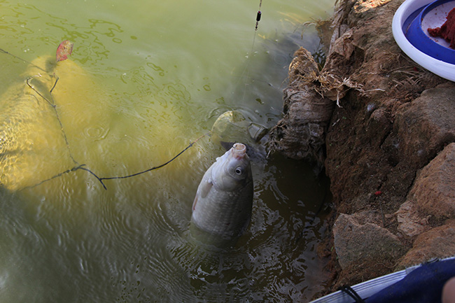 2019年午夜免费视频材料-部門團建活動5